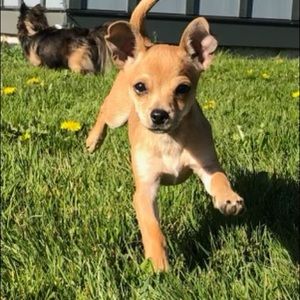 Meet your Posher, Lisa